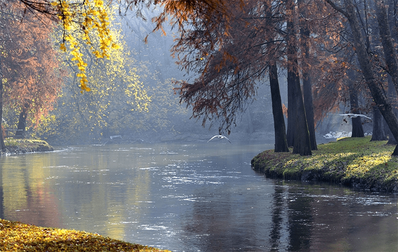 Parco Lambro