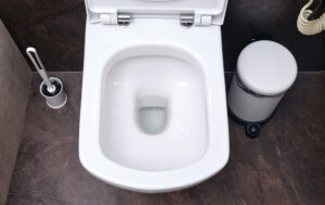 Come sturare il wc otturato senza usare acidi